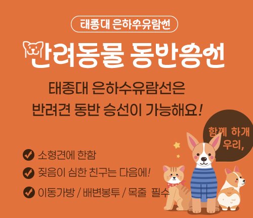 반려견동반